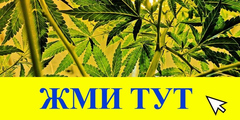 Купить наркотики в Свободном